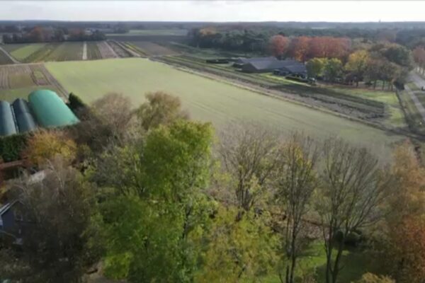 project Edaphon Zuid